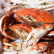How To Clean A Whole Cooked Dungeness Crab