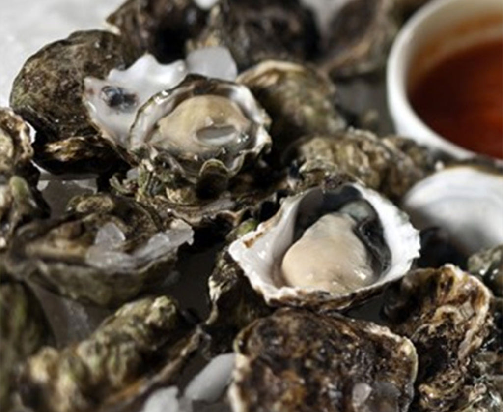 How to Properly Shuck an Oyster