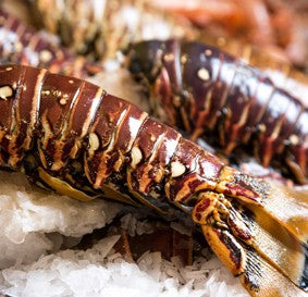 How to Freeze and Store Pure Food Fish Jumbo Lobster Tails