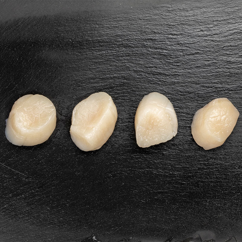 Buy Jumbo Scallops U8 Pure Food Fish Market