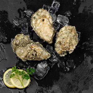Kumomoto Oysters in the shell
