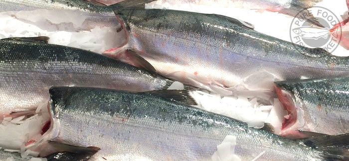 Fresh Whole Alaskan Sockeye Salmon