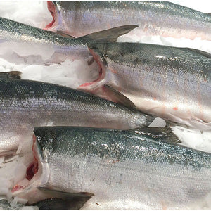 Fresh Whole Alaskan Sockeye Salmon