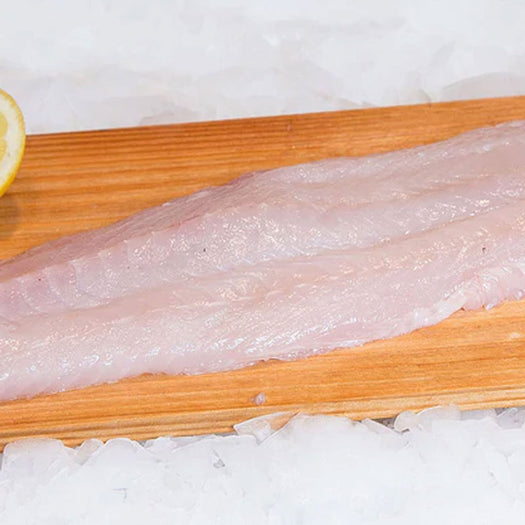 Fresh Ling Cod Fish Fillet (Wild)