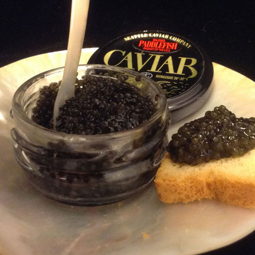 Paddlefish Caviar (2 oz)