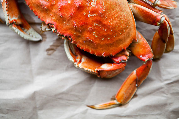 Culinary Tips: How To Clean A Dungeness Crab