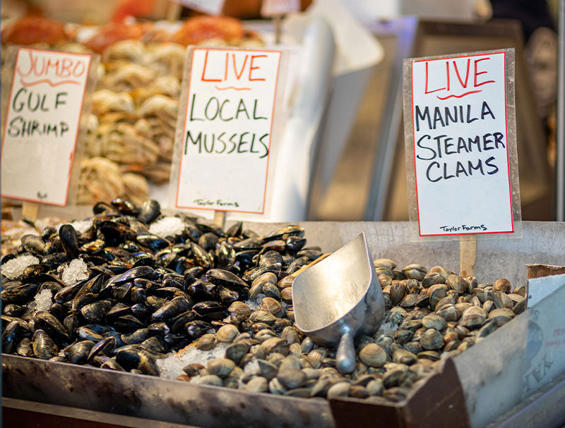 The Best Ways to Keep Your Shellfish Fresh – Pure Food Fish Market