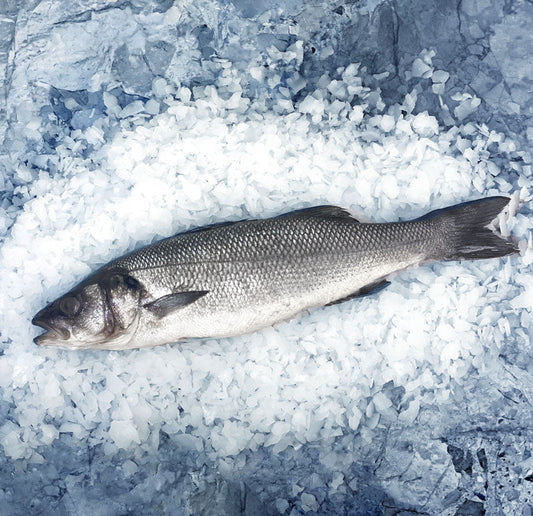 Fish Sebas Fresh Fish – Pure Food Fish Market