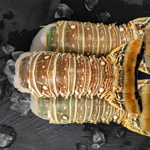 Super Jumbo Colossal Lobster Tails 24oz!