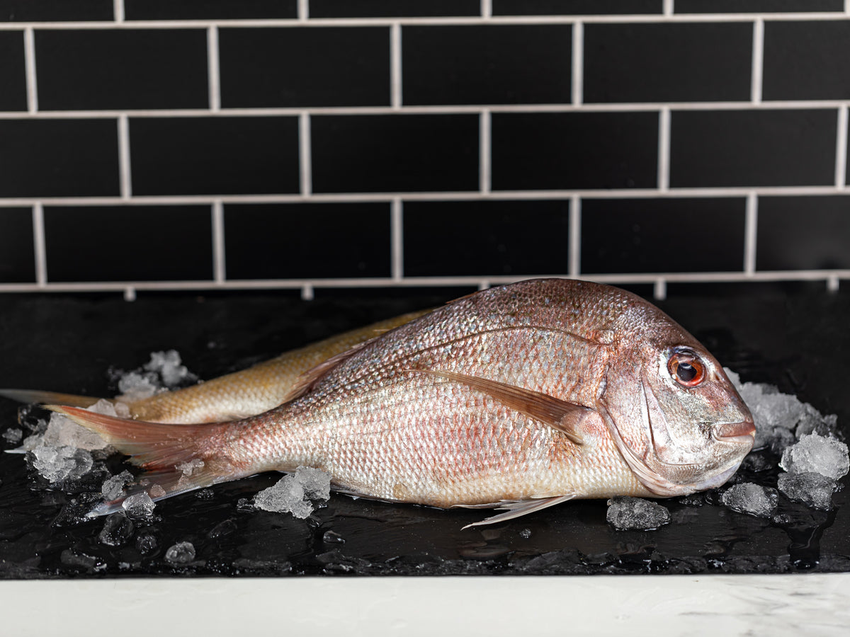 Fresh Whole New Zealand Snapper – Pure Food Fish Market