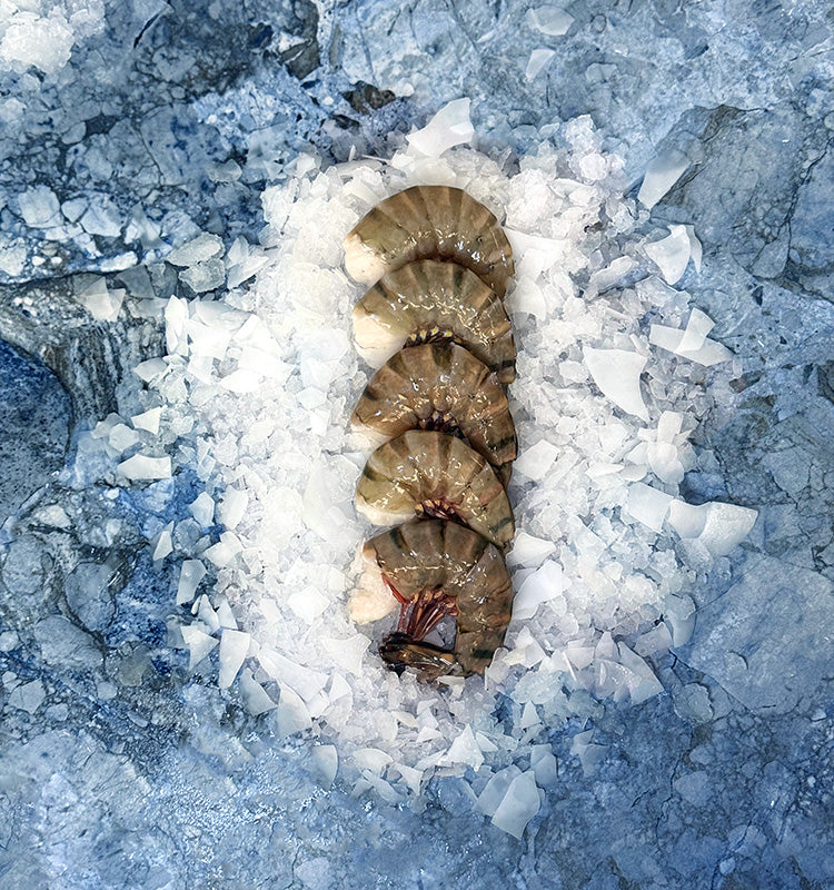 Buy Fresh Seafood Online | Pure Food Fish Market