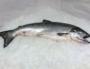 Fresh Whole Northwest King Salmon - 5-6 lbs.