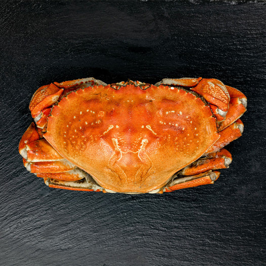 Jumbo! Whole Dungeness Crab