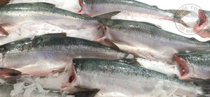 Fresh Whole Copper River Sockeye Salmon (5lb)! (Wild)